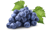 Uvas frescas maceradas en grapa, preparación casera que combina el sabor dulce de las uvas con la intensidad de la grapa italiana